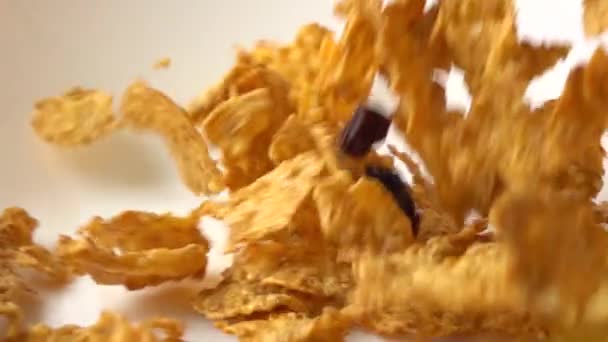 Copos de maíz dorado esparcidos en la placa blanca macro disparo en cámara súper lenta — Vídeos de Stock