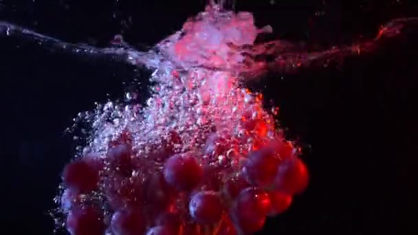 スプラッシュスーパースローモーションビデオで水に落ちる赤いブドウの束 — ストック動画
