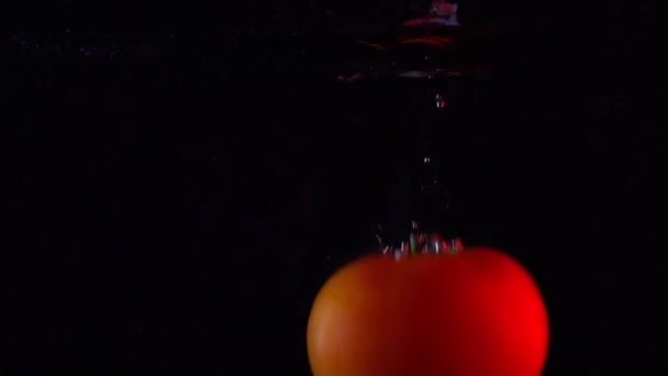 Tomate tombe dans l'eau super ralenti fermer la vidéo sur fond sombre — Video