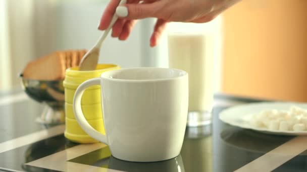 Fille préparer une boisson au chocolat avec du lait et des guimauves — Video