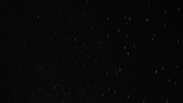 Super cámara lenta tiro de harina tamizado sobre fondo negro — Vídeos de Stock
