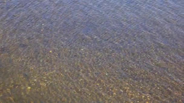 水の波紋と晴れた日に川の底。4 k 撮影 — ストック動画