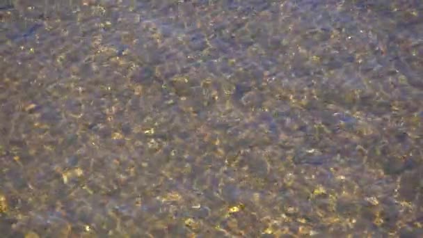 Vody zvlnění a spodní části řeky na slunečný den. 4k video — Stock video