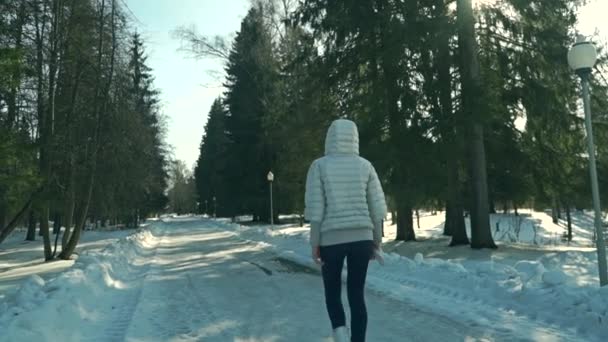 Jovem mulher esportiva caminha no parque nevado no dia ensolarado — Vídeo de Stock