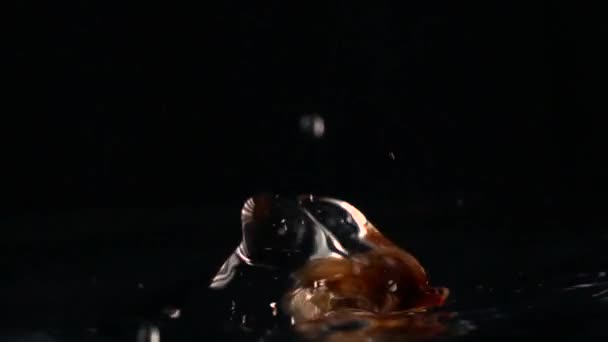Zucchero di canna che cade in acqua sullo sfondo nero. Super slow motion shot — Video Stock