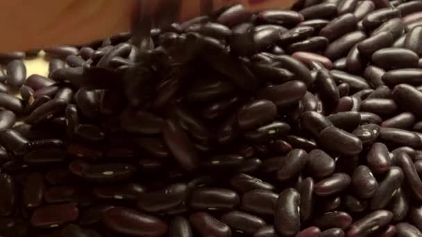 Woman hand with red nail polish scooping red kidney beans — Stock Video