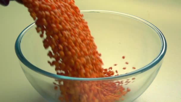 Verser la lentille orange dans un bol en verre. Super ralenti vidéo — Video