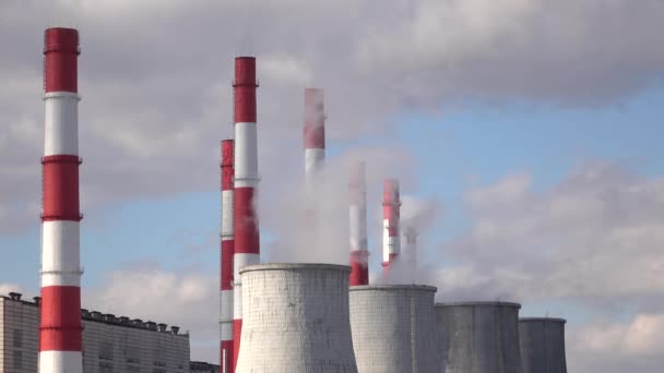 Vogel fliegt an sonnigem Tag gegen riesiges Wärmekraftwerk. 4k Filmmaterial — Stockvideo