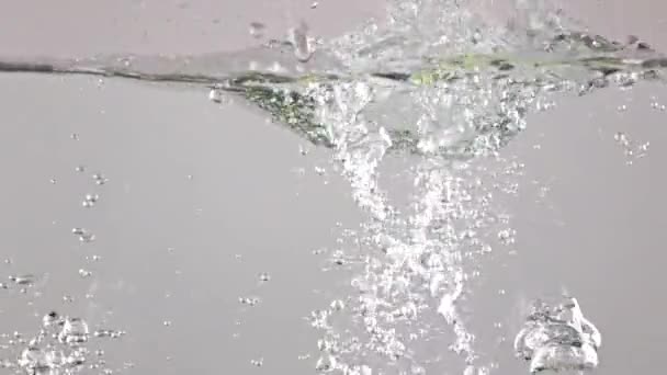 Close up shot: green apples fall in water, gray background, super slow motion — Stock Video