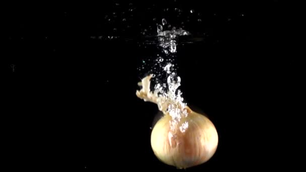 슈퍼 슬로우 모션 : 물에 떨어지는 전체 양파, 검은 배경 — 비디오