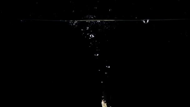 Vidéo au ralenti super : oignon pelé tombant dans l'eau, fond noir — Video