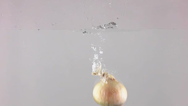 Super cámara lenta de la cebolla entera cayendo en el agua, fondo gris — Vídeos de Stock