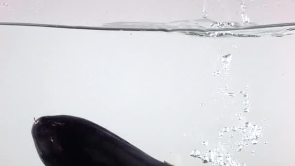 Super slow motion of eggplant falling down in water, white background — Stock Video