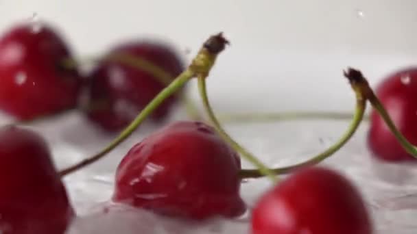 Super slow motion macro shot di ciliegie multiple con steli che colpiscono piatto bagnato — Video Stock