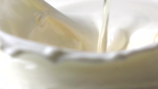 Super-Zeitlupe-Video von Ei, das in Milch fällt — Stockvideo