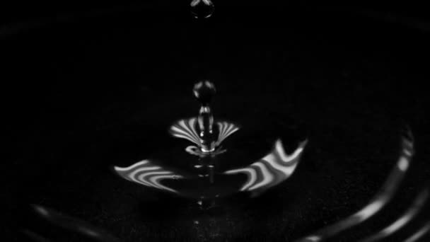 Сверхмедленное макровидео с низким клавишами, в котором несколько капель воды падают в воду — стоковое видео