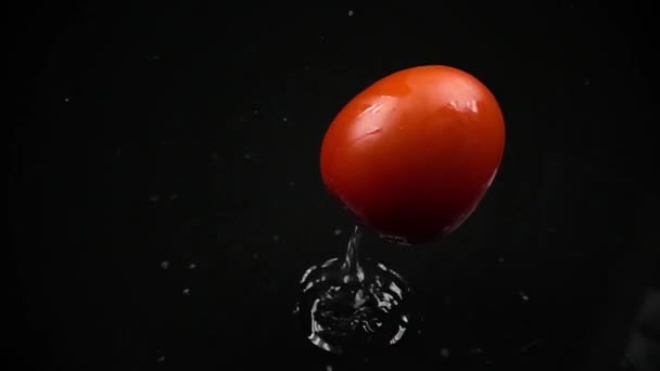 Super cámara lenta de tomate rojo maduro golpeando la superficie húmeda oscura — Vídeo de stock