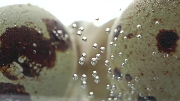 Œufs de caille dans de l'eau bouillante dans une casserole en verre, macro dolly shot — Video
