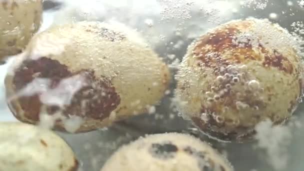 Huevos de codorniz bajo agua hirviendo macro video — Vídeos de Stock