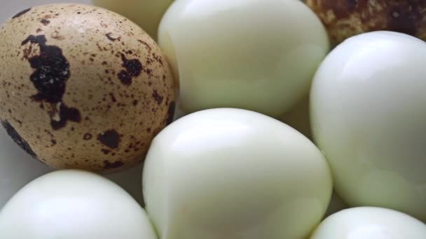 Dolly video of unshelled hard boiled and shelled quail eggs — Stock Video