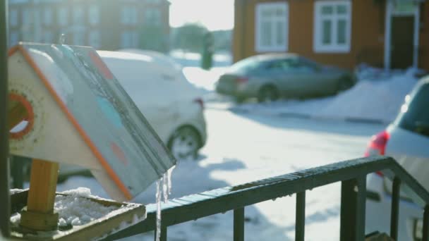 Karmnik na ganek i kroplówki z topnieje śnieg, film w zwolnionym tempie — Wideo stockowe