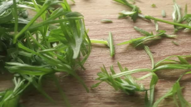 Close up dolly shot of pieces of fresh green dill — Stock Video