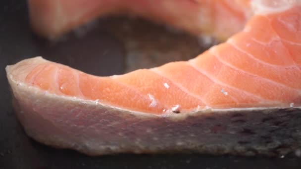 Freír filete de salmón en sartén antiadherente. Macro dolly video — Vídeo de stock