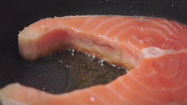 Macro-opname van de dolly voor zalm steak frizzling — Stockvideo