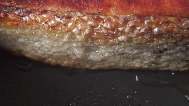 Smažení steak z lososa na kůru, makro dolly zastřelil — Stock video