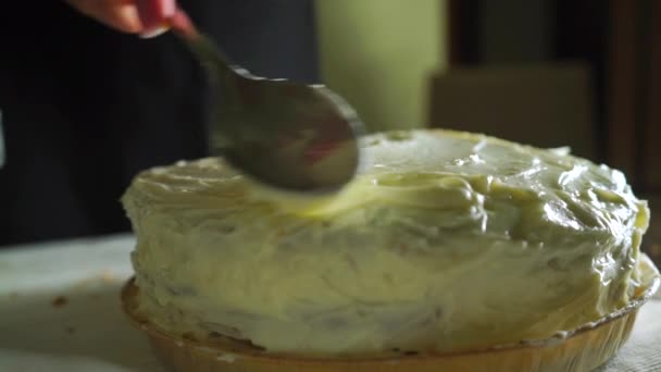 Cobrindo bolo de cenoura com creme. Parte do conjunto — Vídeo de Stock