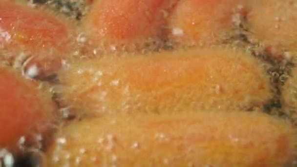 Макро-укол жареной моркови — стоковое видео