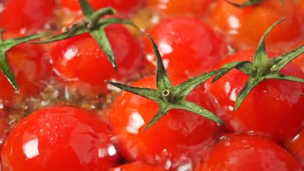 Roasting cherry tomatoes with leaves macro shot — Stock Video