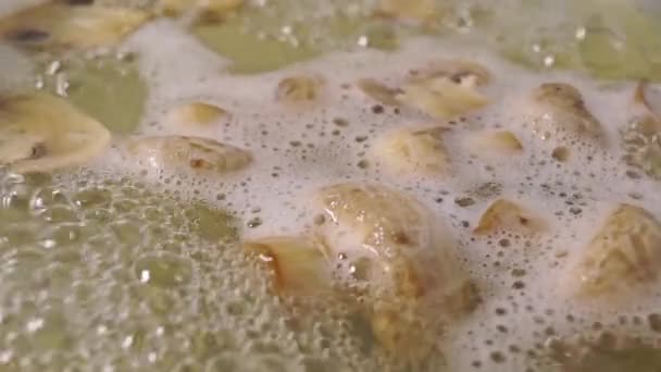 샷 클로즈업 끓는 버섯 — 비디오