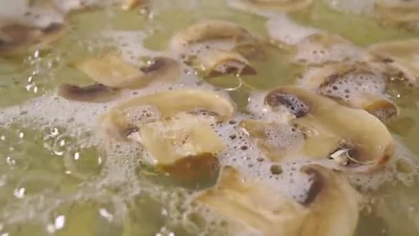 Champiñones de campo en agua hirviendo con aceite, tiro de cerca — Vídeos de Stock