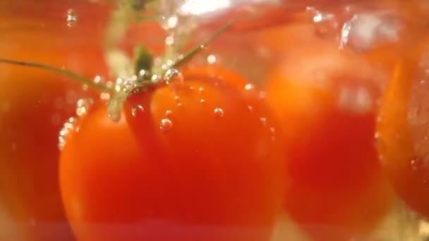 Pomodori rossi bollenti primo piano colpo — Video Stock