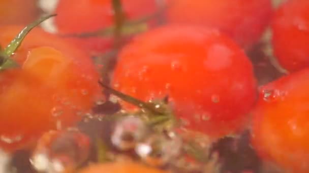 Cseresznyeparadicsom, főző- és gőzölgő víz — Stock videók
