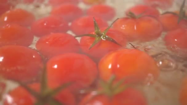 Tomates rojos hirviendo con hojas — Vídeo de stock