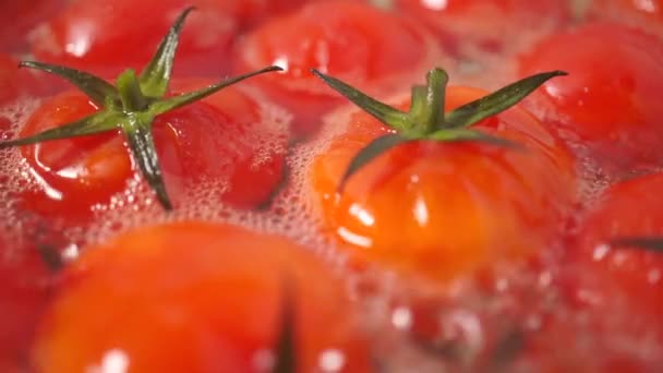 Cherry tomatoes above water surface, boiling in a pan, close up video — Stock Video