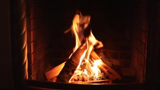 Lareira de queima de madeira — Vídeo de Stock