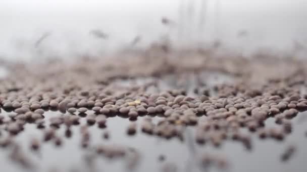 Una pila di lenticchie su una superficie riflettente — Video Stock