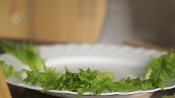 Ensalada de verduras y queso, varios vídeos en uno — Vídeo de stock