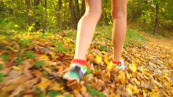 Meisje wandelen langs herfst weg bedekt met gevallen bladeren — Stockvideo