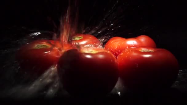 Movimiento lento de tomates y agua que cae con fondo negro — Vídeos de Stock