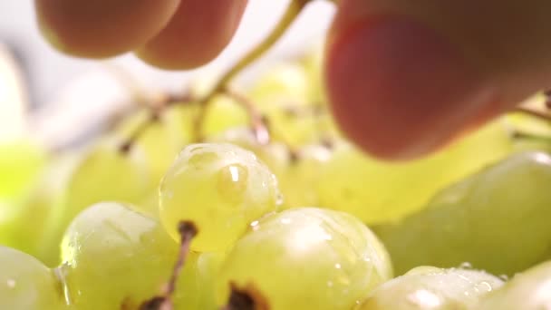 Homem dedos rasgando uva branca, macro vídeo — Vídeo de Stock