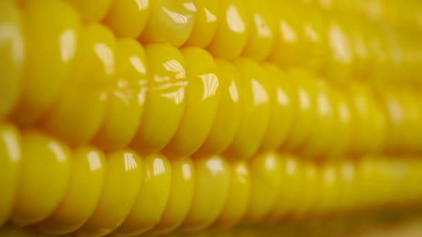 Boiled corn cob dolly shot — Stock Video