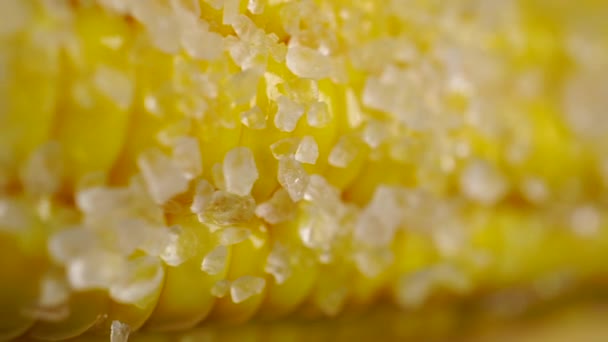 Boiled and salted corn cob dolly shot — Stock Video