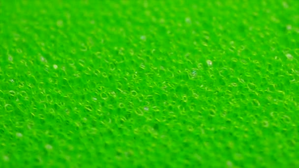 Green porolon sponge close up rotation — Stock Video