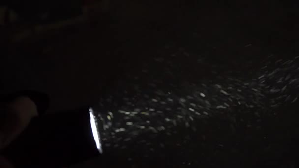 Vista láser y linterna en un cuarto oscuro polvoriento — Vídeos de ... Vista láser y linterna en un cuarto oscuro polvoriento — Vídeos de ...