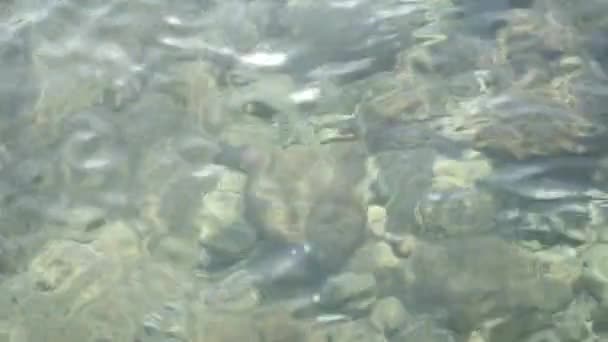 Lear zeewater met de onderkant van de stenen — Stockvideo