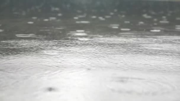 Nádherné záběry s kapky deště na vodě — Stock video